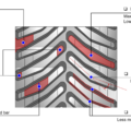 Firestone agricultural rubber track — Tread Features
